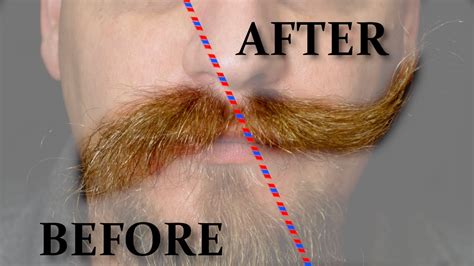 How To Train Your Mustache Get It To Look Its Best Youtube