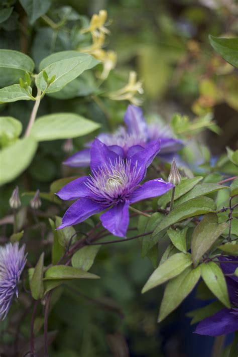 85 half moon bay california rv parks & campgrounds. Alena Jean's Flower Shop & Nursery, Half Moon Bay ...