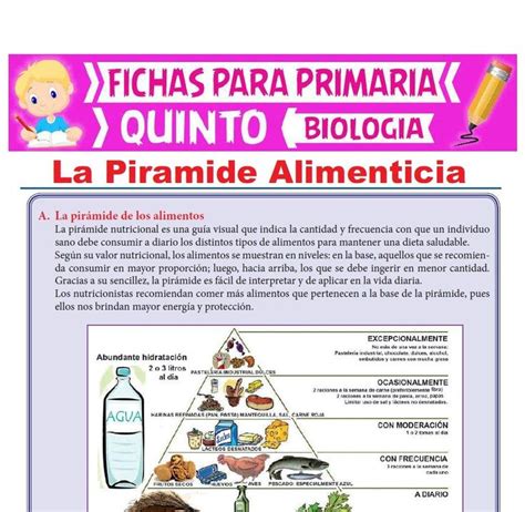 Ficha De La Piramide Alimenticia Para Quinto Grado De Primaria