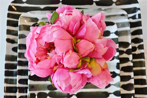 Whats New Wednesday Pink Peonies Heather Scott Home And Design