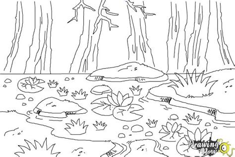Details Swamp Sketch Best In Eteachers