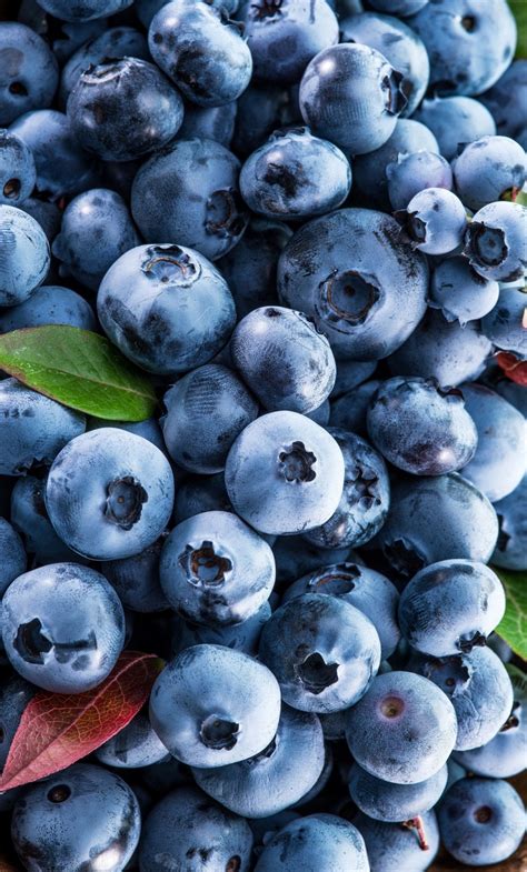 X Berries Fruits Blueberries Wallpaper Fruit Photography Fruit Wallpaper Blueberry