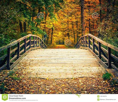 Bridge In Autumn Forest Stock Photo Image Of Europe 100165276