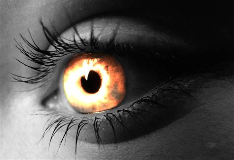 Fire Eye Free Photo Download Freeimages