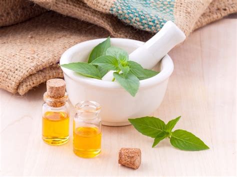 Oct 16, 2020 · @universityofky posted on their instagram profile: How Do You Become an Herbalist? - University of Natural Health