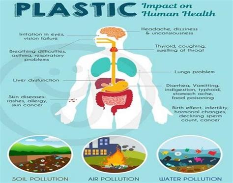 Impact Of Plastics On Human Health Download Scientific Diagram