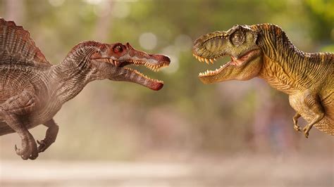 Spinosaurus Vs T Rex 15 Differences Incl Size Comparison