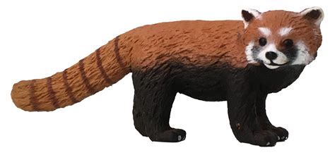 Red Panda Replica Pack Of 10 Science And Nature