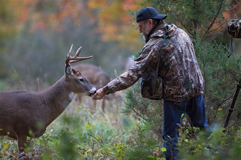 Marians Hunting Stories Etc Etc Etc Got Caught Feeding A Buck