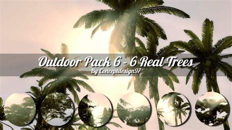 Sims 4 leaning palm tree : (TS4/CC/DL) Outdoor Pack 6 - 5 Real Trees | Sims Amino