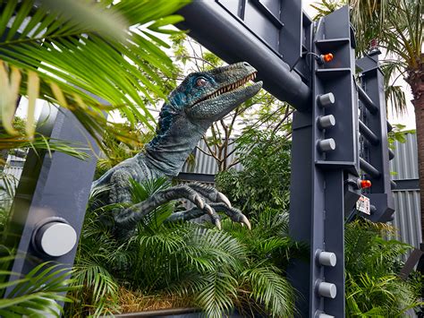 Jurassic World Velocicoaster Facts And Findings The Kingdom Insider