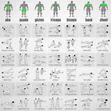 Images of All Body Workout Exercises