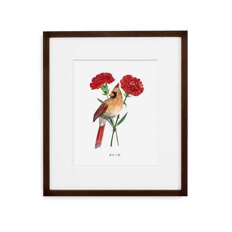 Ohio State Bird Art Print Ohio Cardinal And Carnation Etsy