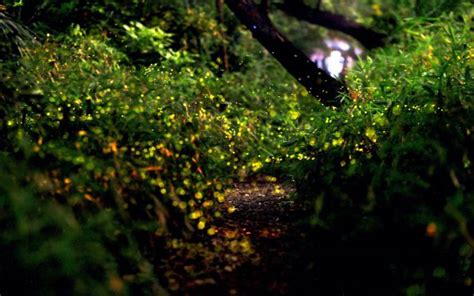 16 Spellbinding Light Phenomena From Across The Planet