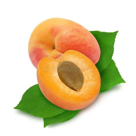 Two Fresh Apricots And Leaves Stock Image Image Of Core Antioxidant