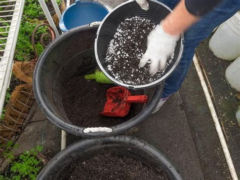 These garden cloches are ideal for protecting tender plants from frost and the slug/snail menace. How To Make Your Own Super Powered Potting Soil ...