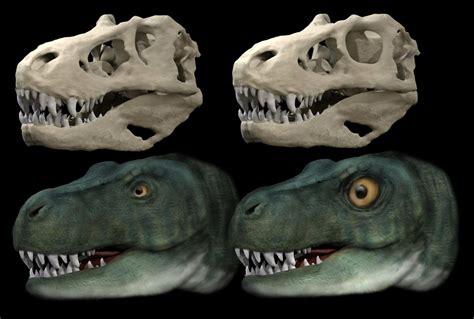 Large Dinosaur Predators Such As T Rex Evolved Different Eye