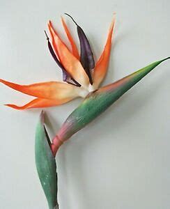 Maybe you would like to learn more about one of these? SILK FAKE FLOWER TROPICAL BIRD OF PARADISE REAL TOUCH ...