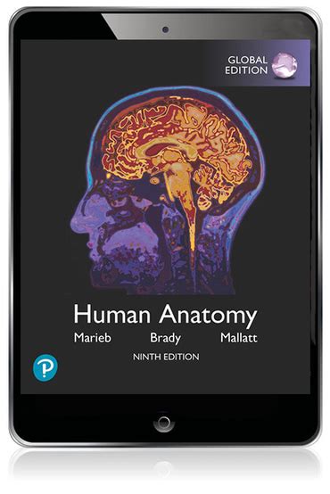 Human Anatomy Global Edition 9th Edition