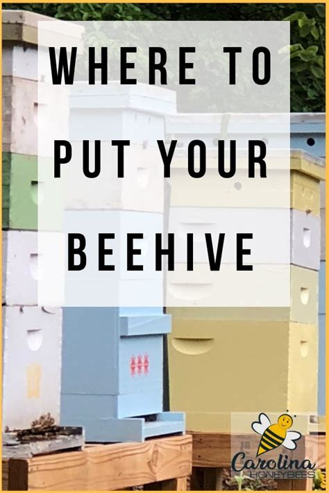 I hope it helps a bit. Finding the Best Location for Your Hive | Bee keeping, Bee ...