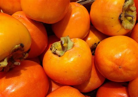 картинки фрукты падать оранжевый Пища производить фруктовое