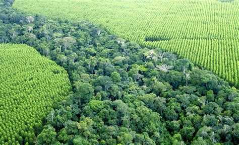 O Que São Corredores Ecológicos AgronegÓcio