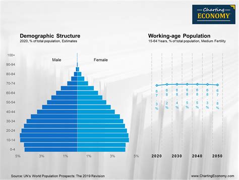 What Is The Demographic Structure Of India Charting Economy