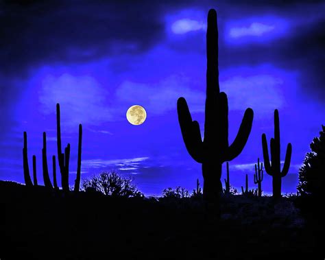Full Moon And Saguaros Arizona Sonoran Desert Photograph By Don
