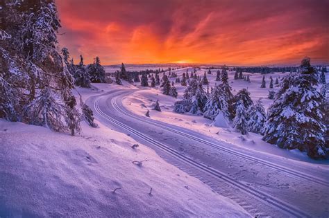 Wallpaper Trees Landscape Sunset Night Nature Snow Winter Road