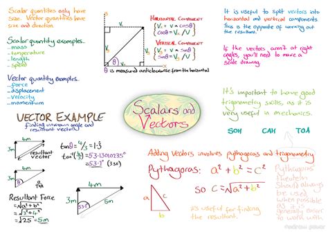 Scalar and Vector Quantities - websitereports243.web.fc2.com