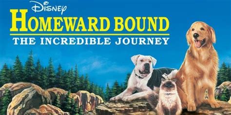 Homeward Bound Filming Locations Where Is The Movie Filmed Otakukart