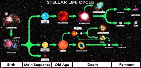Star lifecycle (answers are on this page). Black dwarf - Wikipedia