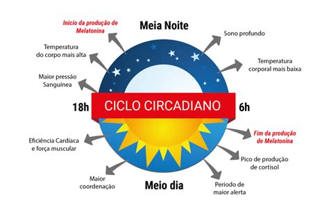 Cronograma Ciclo Circadiano