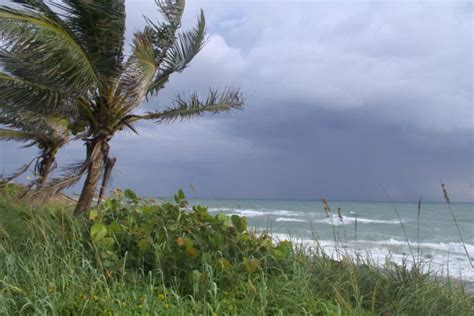 Hurricane Preparedness For Seniors Glenview Naples