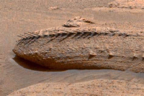 Geologisch Biologisch Oder Technisch Nasa Rover Curiosity Zeigt Bizarre Erosionsformen Auf