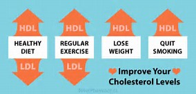 Image result for cholesterol improvement