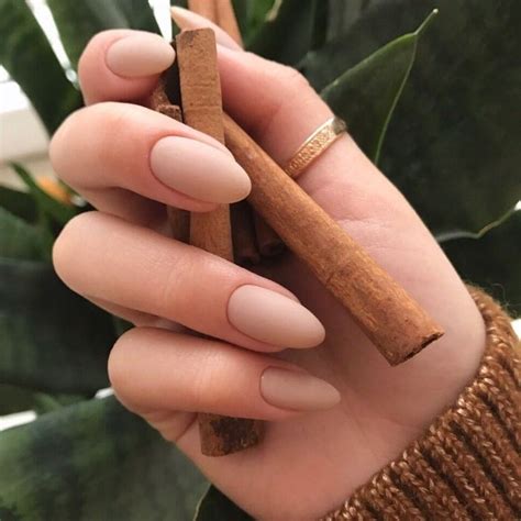 Thumb Gold Ring On A Hand Holding Several Cinnamon Sticks Oval Nails