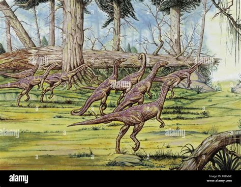 Time Dinosaurs From The Late Triassic Period D39