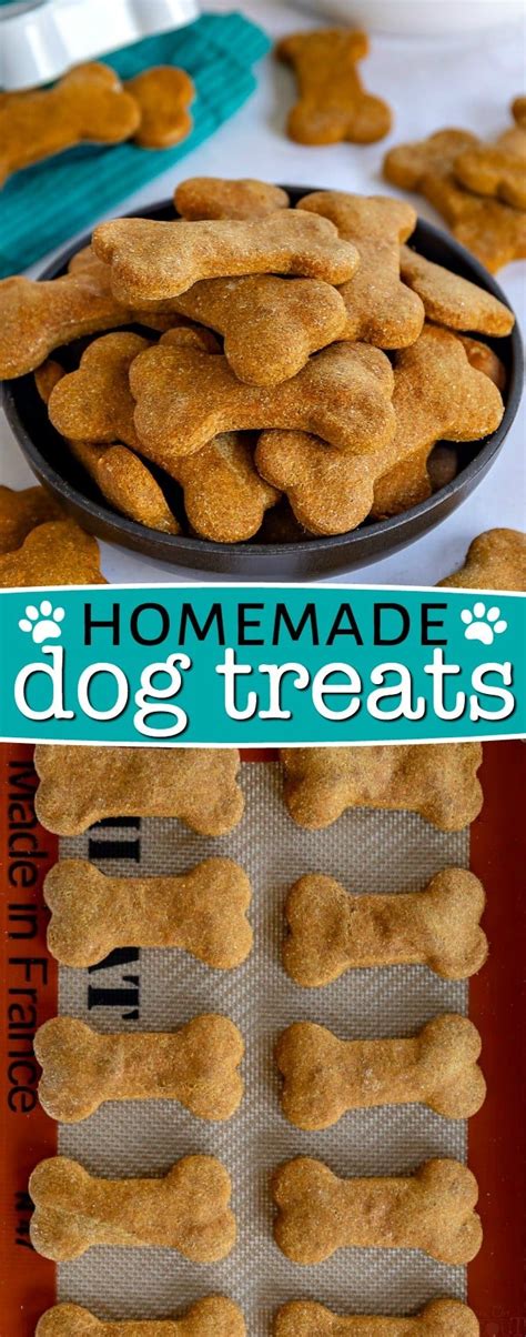 Easy Homemade Dog Cookie Recipes Besto Blog