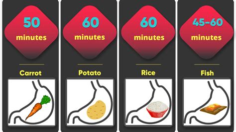 How Long Different Foods Take To Digest Potato Rice Different Recipes