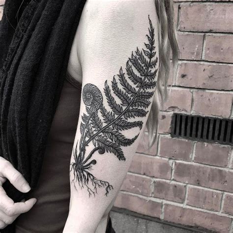 53 Gorgeous Fern Tattoo Designs And Ideas Tattoobloq Fern Tattoo