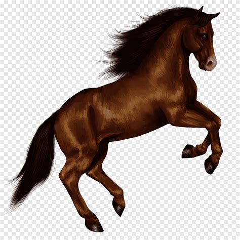 Bruin Steigerend Paard Horse Right Jump Dieren Paarden Png Pngegg