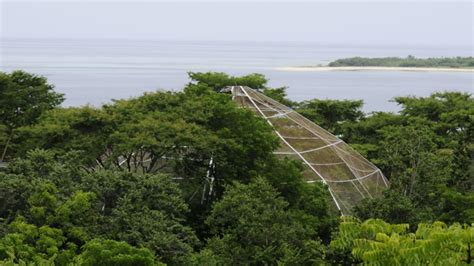 √ Taman Nasional Bali Barat: Sejarah, Lokasi, Tiket Masuk 2022