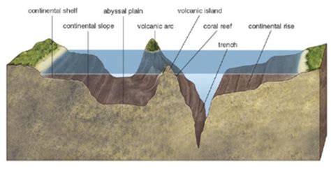 31 Diagram Of The Ocean Floor - Wiring Diagram List