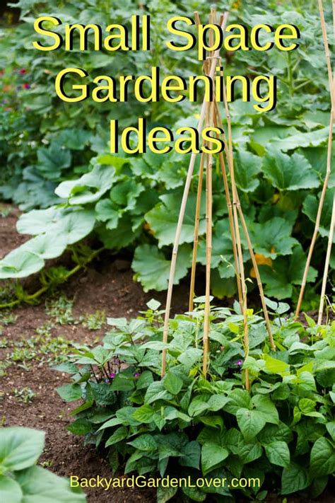Maybe you would like to learn more about one of these? Small Space Gardening Ideas You Can Use Now