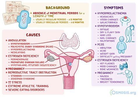 Secondary Amenorrhea What Is It Causes Treatment And More Osmosis