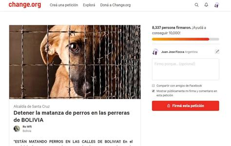 Bolivia Juntan Firmas Para Frenar La Matanza De Perros Callejeros En