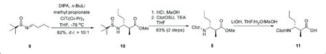 Synthesis Of β Amino Acid 11 Download Scientific Diagram