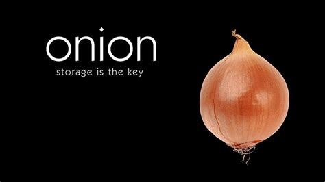 Storage Is The Key Onion Youtube