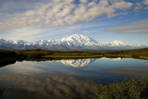 Stop to view denali national park landmarks such as otto lake, healy valley, and the alaska range, and look for wildlife such as moose. 9 Things You Didn't Know about Denali National Park and Preserve | U.S. Department of the Interior